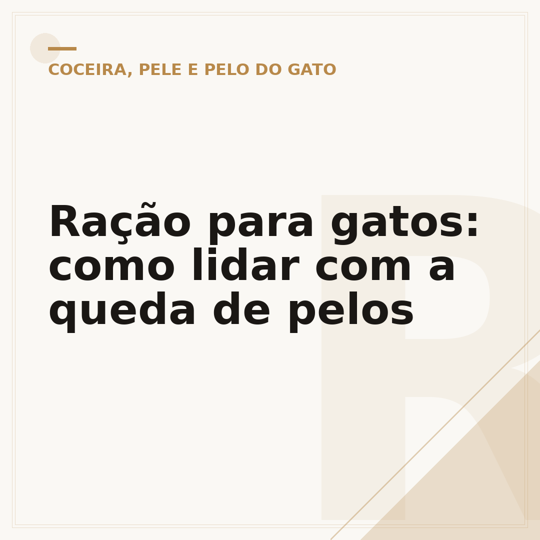 Ração para gatos: como lidar com a queda de pelos