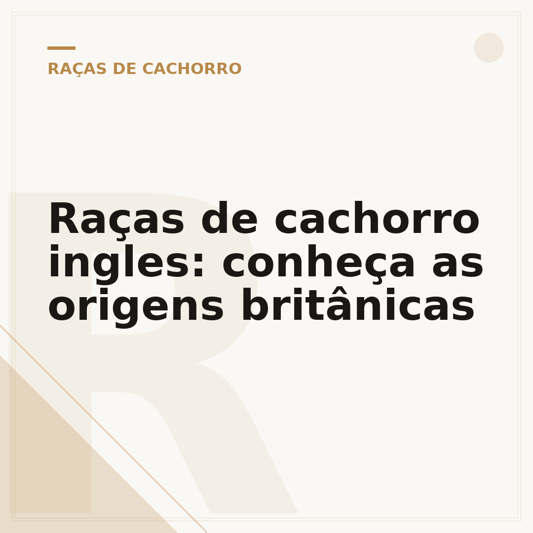 Raças de cachorro ingles: conheça as origens britânicas