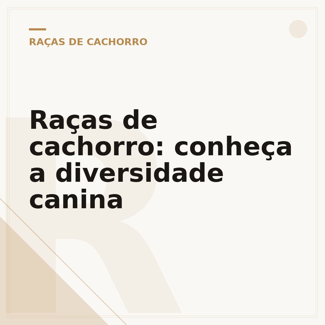 Raças de cachorro: conheça a diversidade canina
