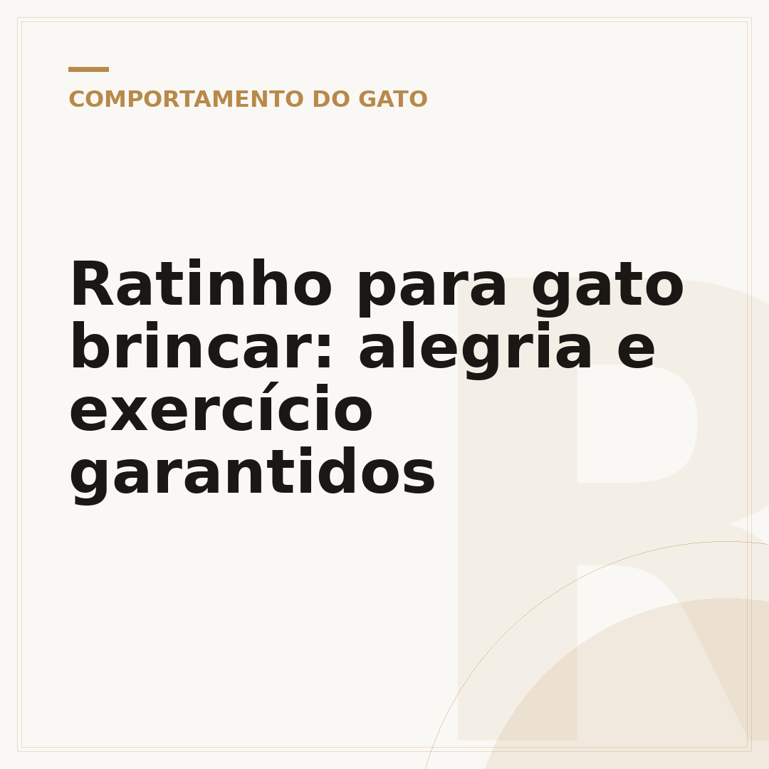 Ratinho para gato brincar: alegria e exercício garantidos