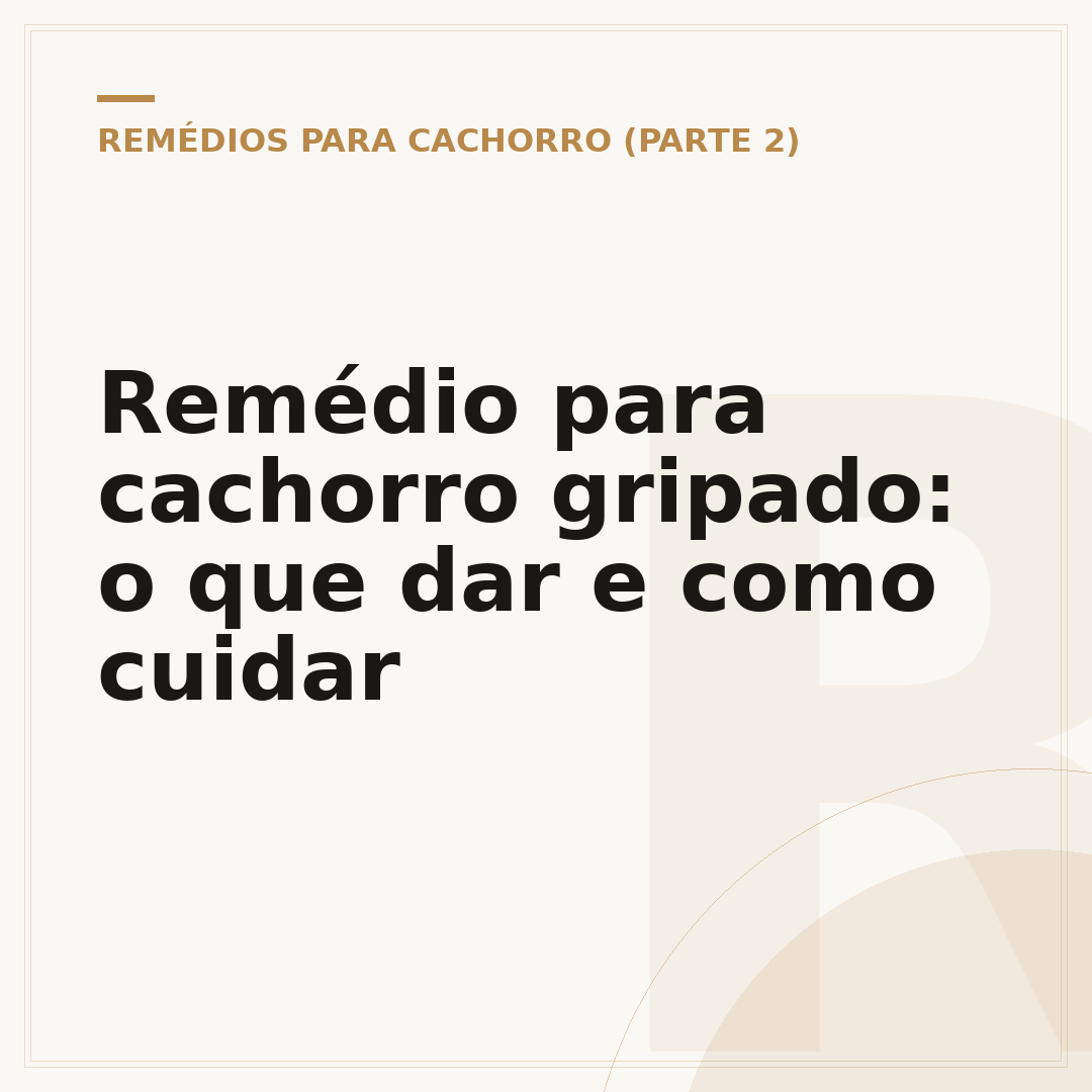 Remédio para cachorro gripado: o que dar e como cuidar