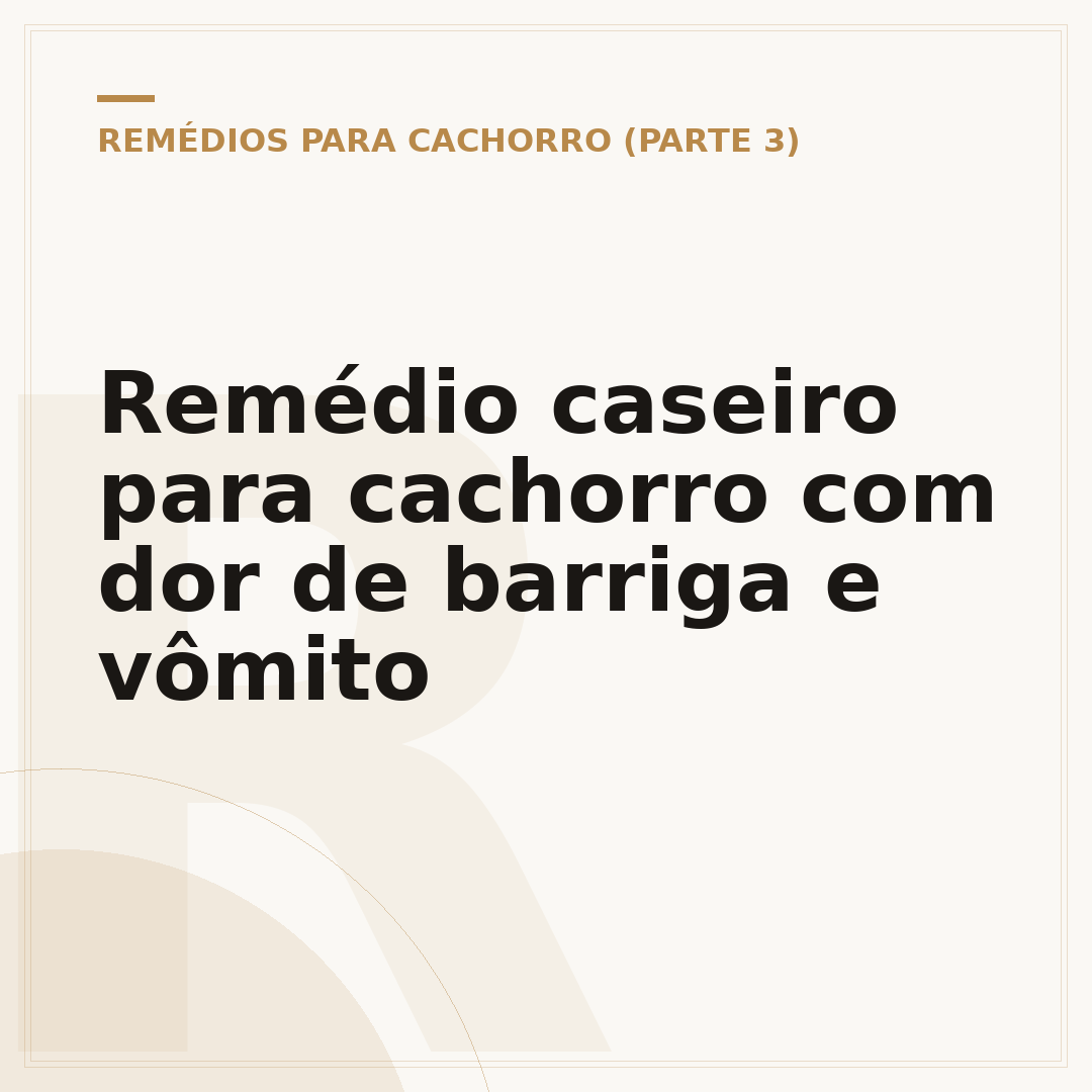 Remédio caseiro para cachorro com dor de barriga e vômito