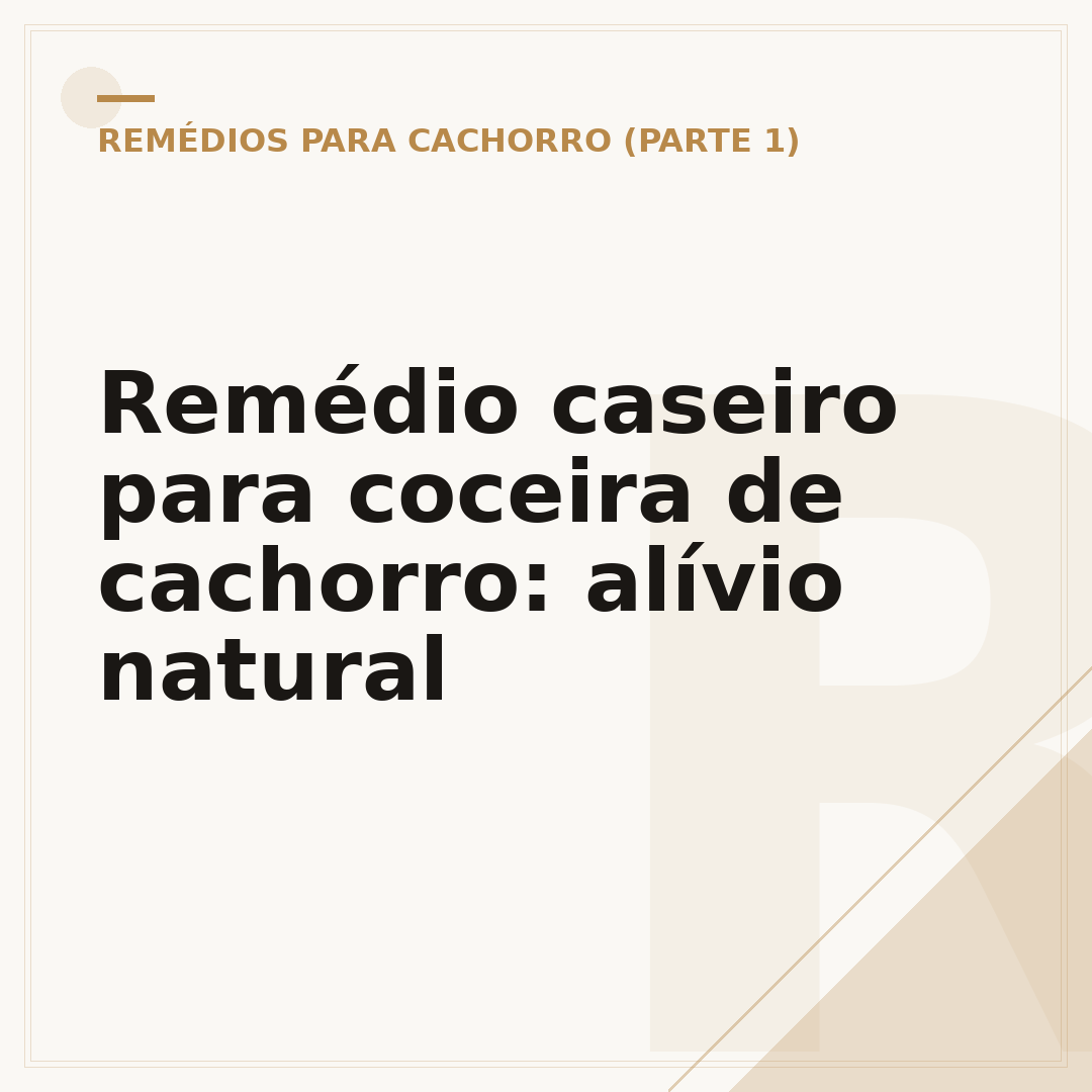 Remédio caseiro para coceira de cachorro: alívio natural