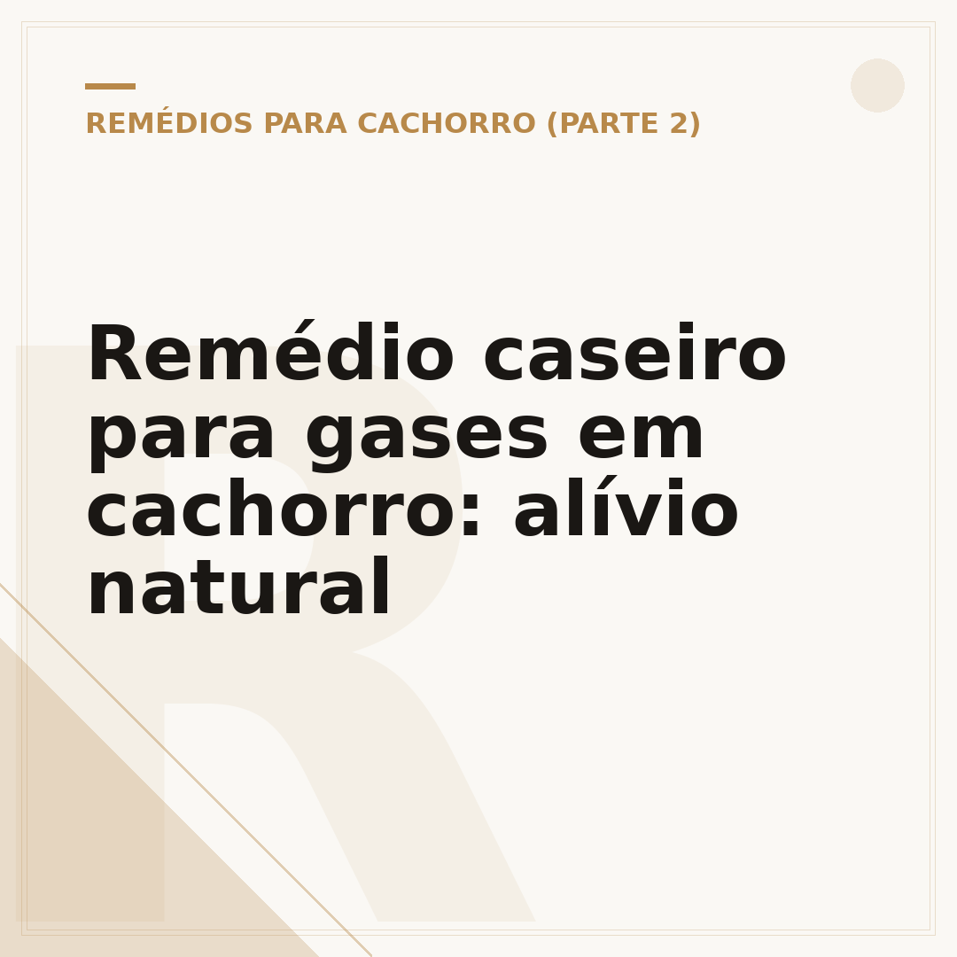 Remédio caseiro para gases em cachorro: alívio natural