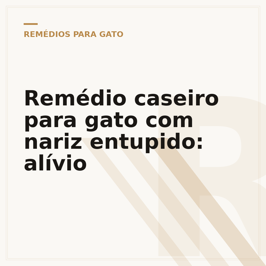 Remédio caseiro para gato com nariz entupido: alívio