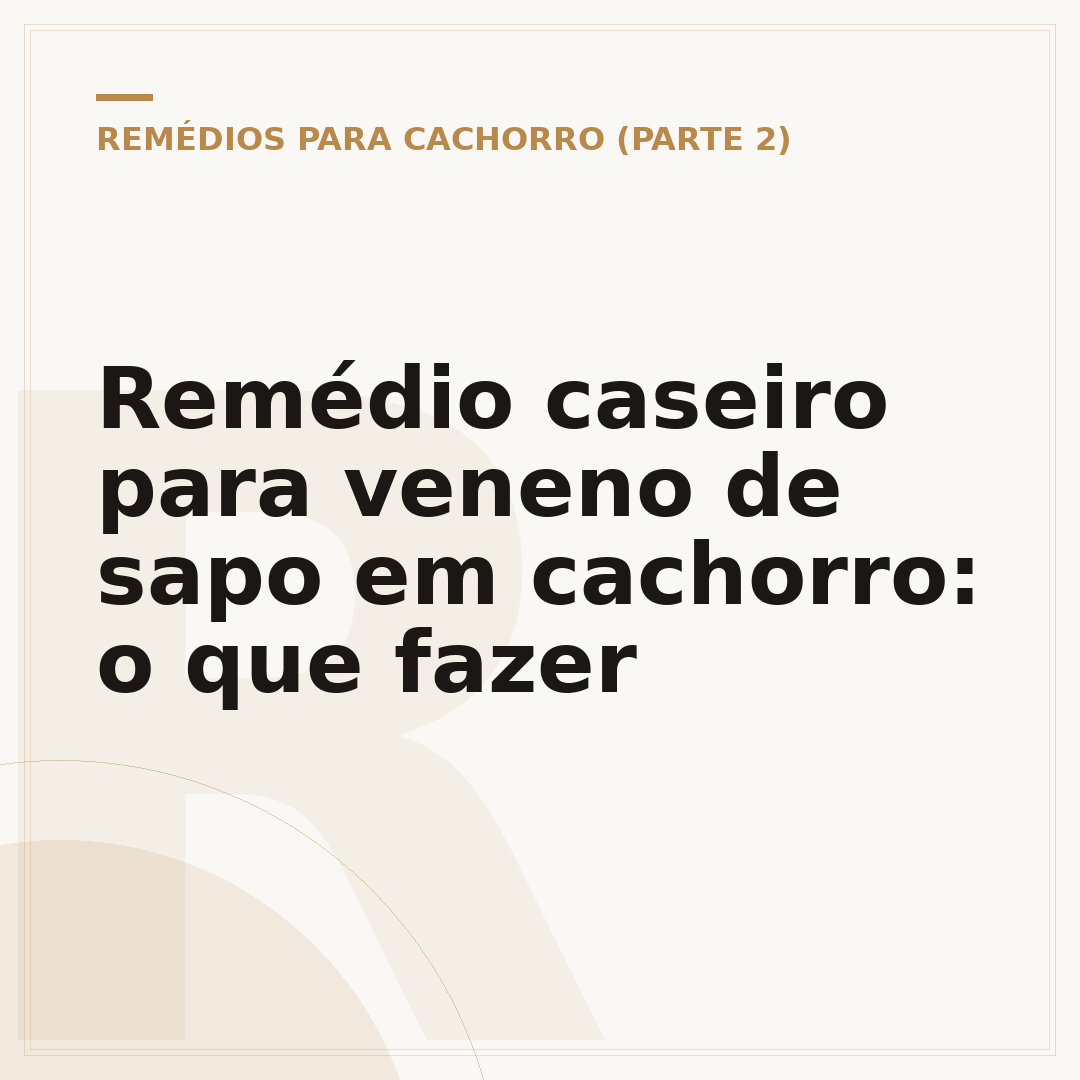 Remédio caseiro para veneno de sapo em cachorro: o que fazer