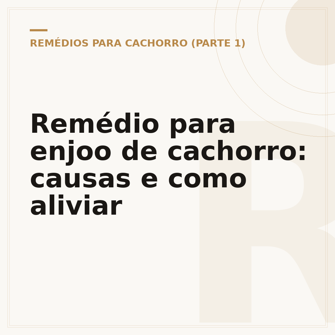Remédio para enjoo de cachorro: causas e como aliviar