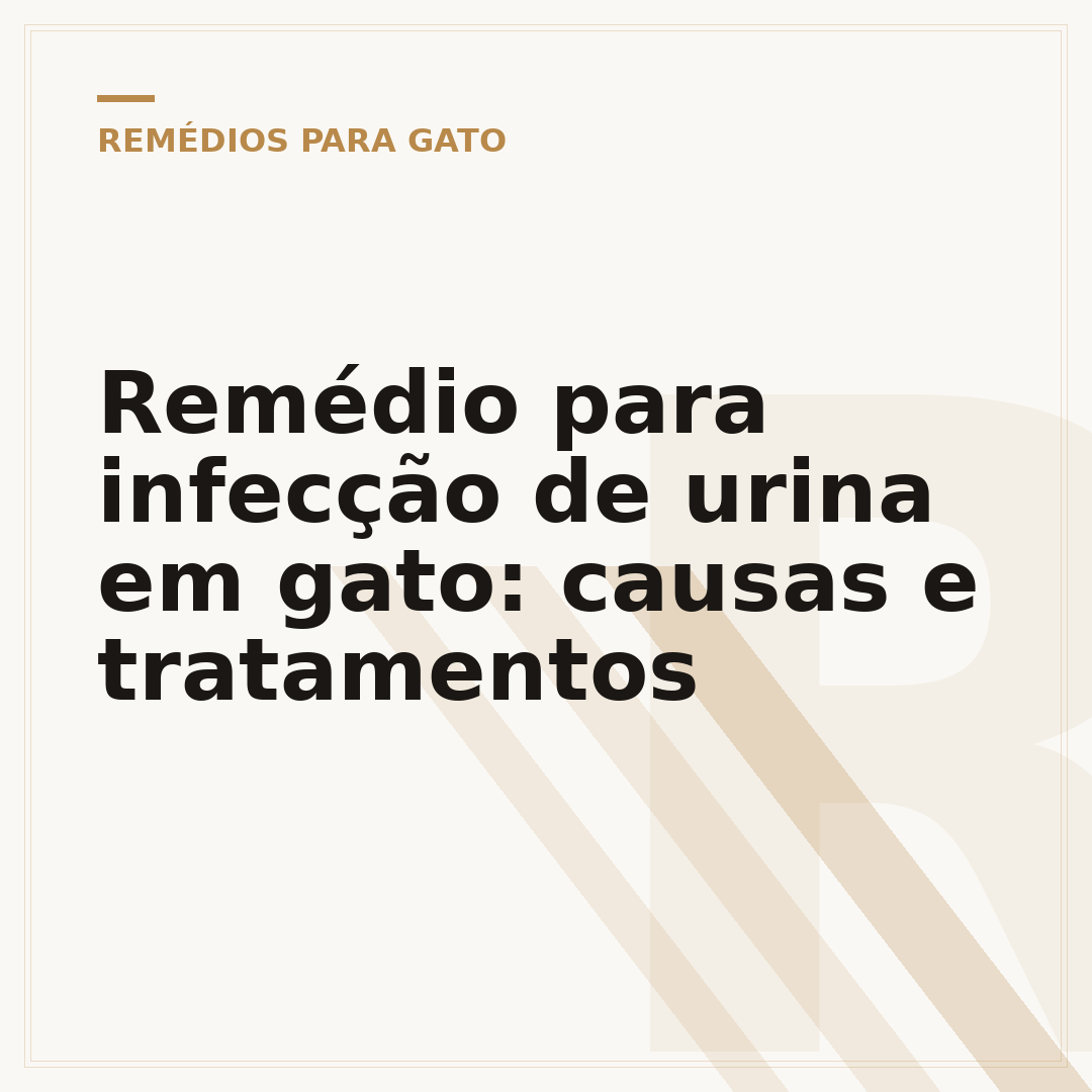 Remédio para infecção de urina em gato: causas e tratamentos