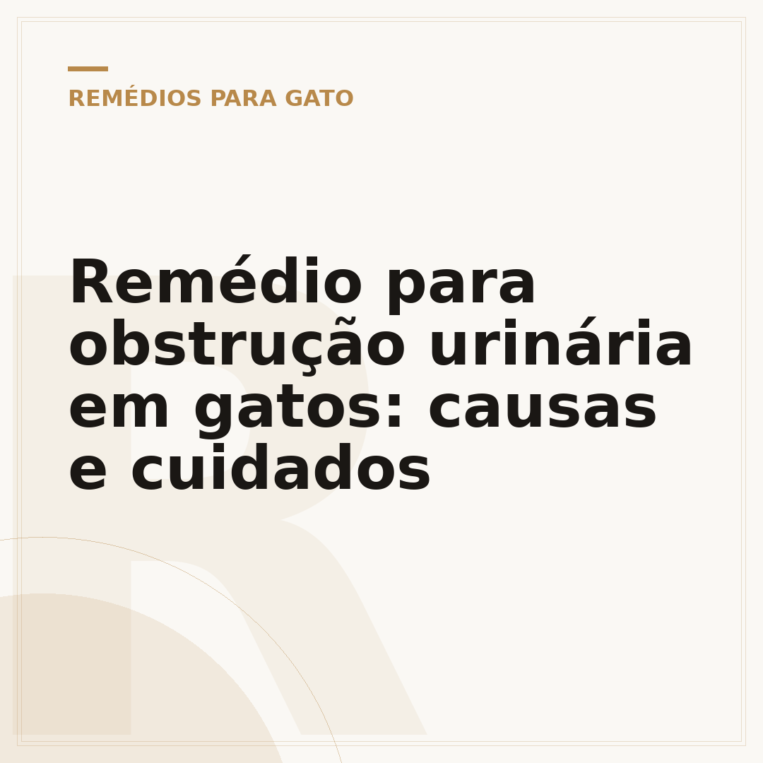 Remédio para obstrução urinária em gatos: causas e cuidados