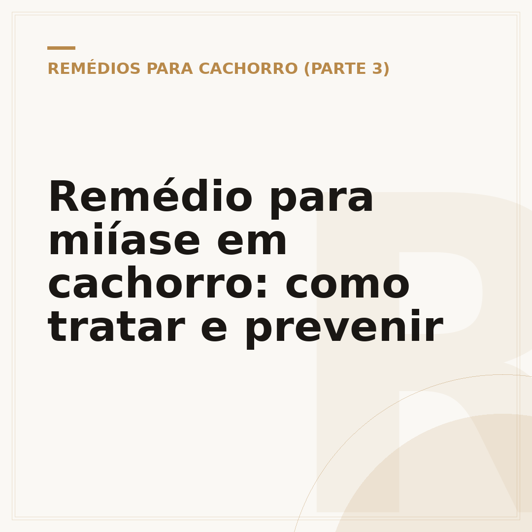 Remédio para miíase em cachorro: como tratar e prevenir