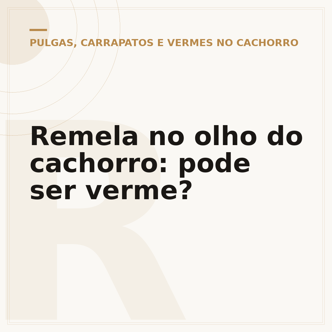 Remela no olho do cachorro: pode ser verme?