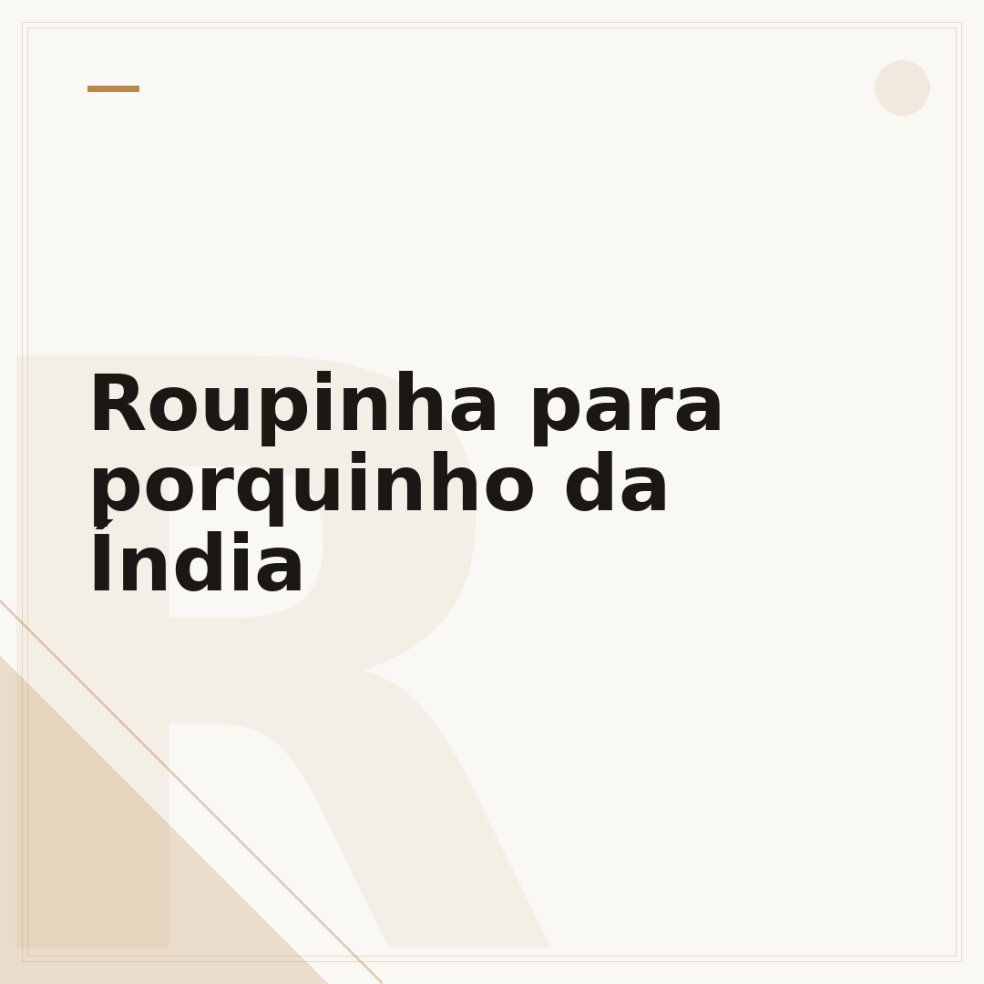 Roupinha para porquinho da Índia