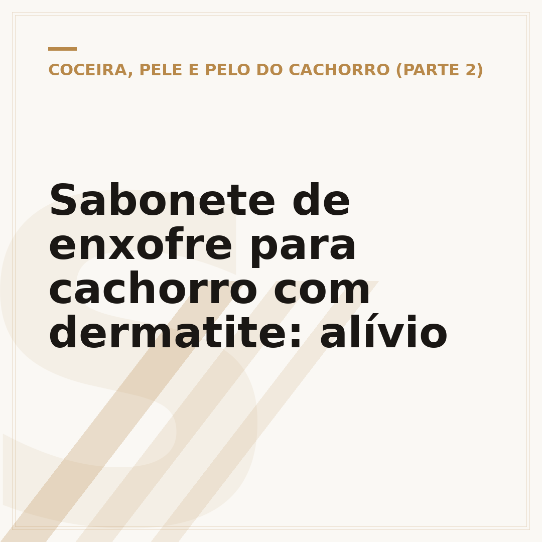 Sabonete de enxofre para cachorro com dermatite: alívio