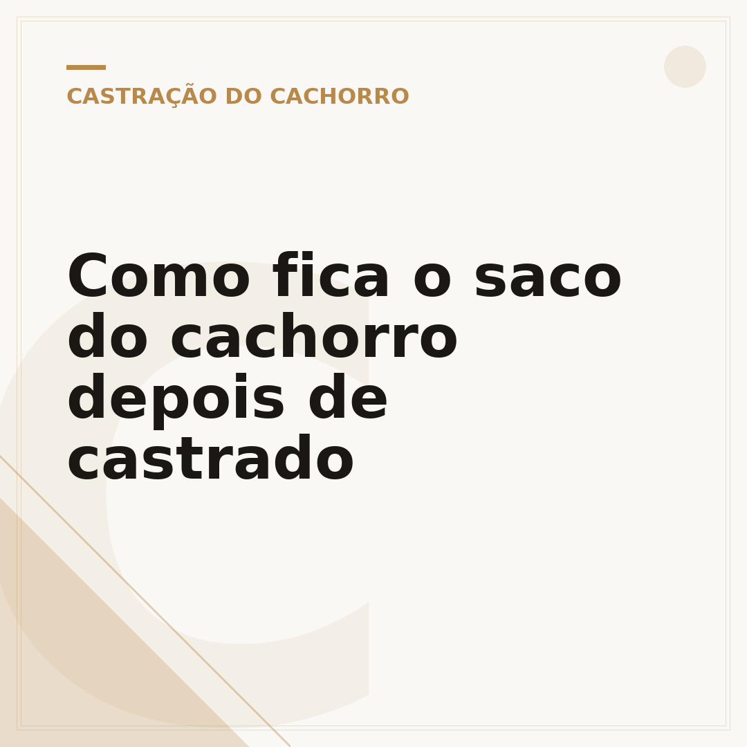 Como fica o saco do cachorro depois de castrado
