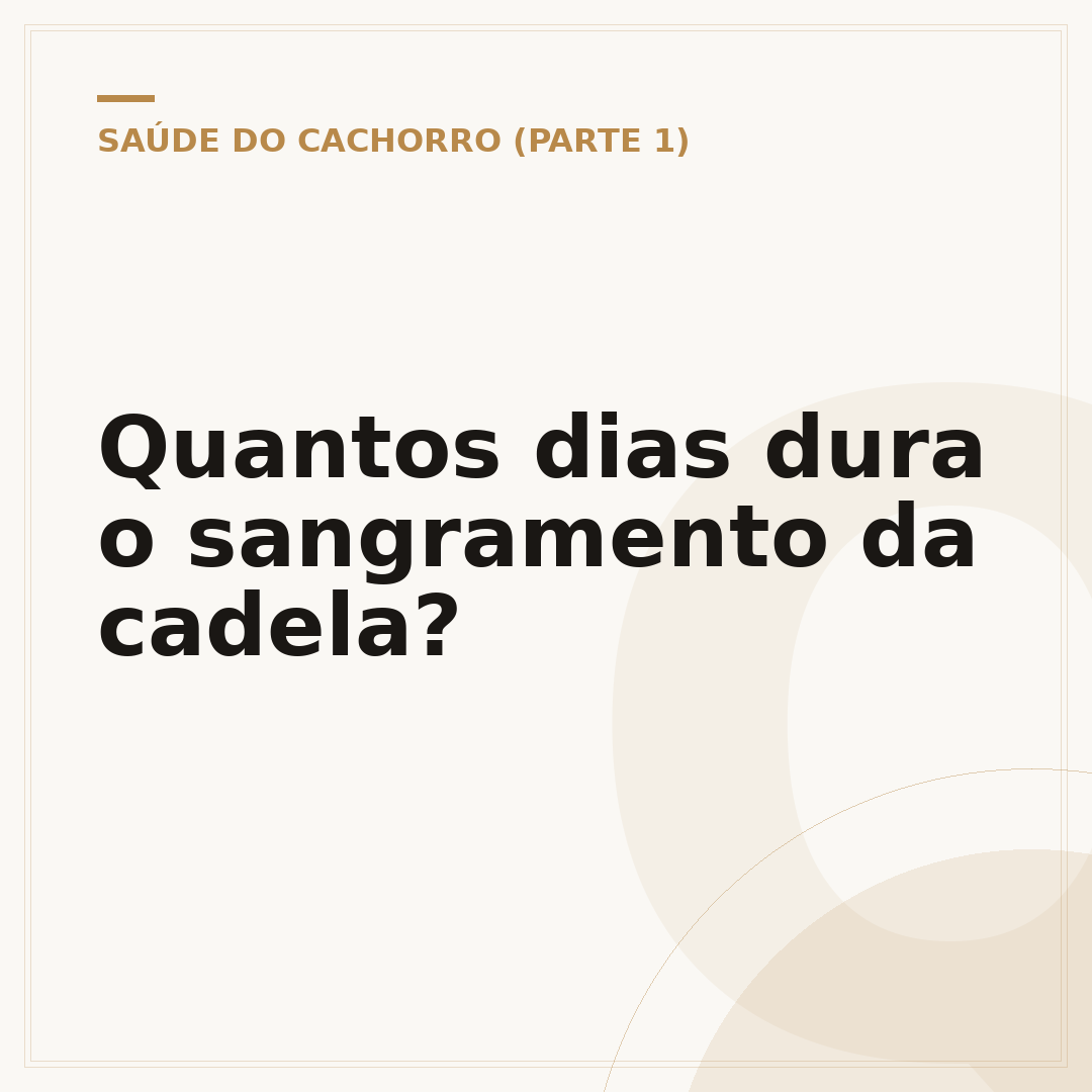Quantos dias dura o sangramento da cadela?