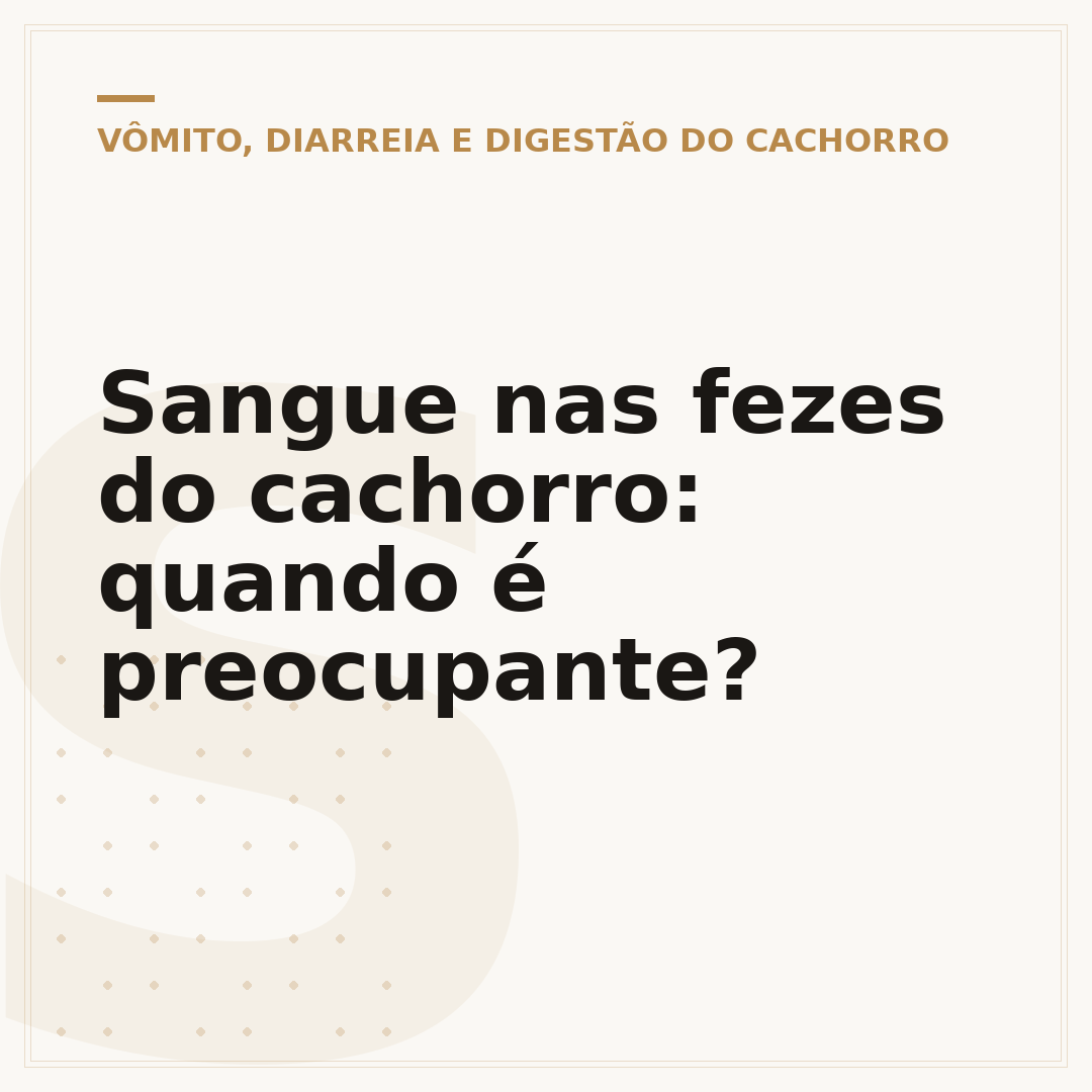 Sangue nas fezes do cachorro: quando é preocupante?