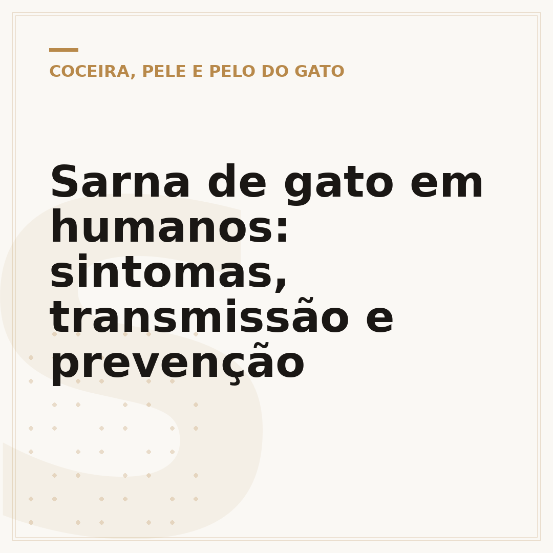 Sarna de gato em humanos: sintomas, transmissão e prevenção