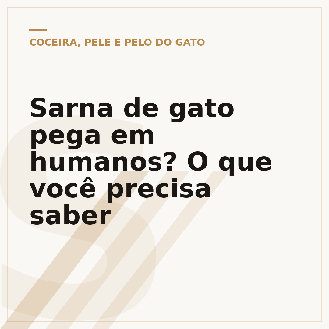 Sarna de gato pega em humanos? O que você precisa saber
