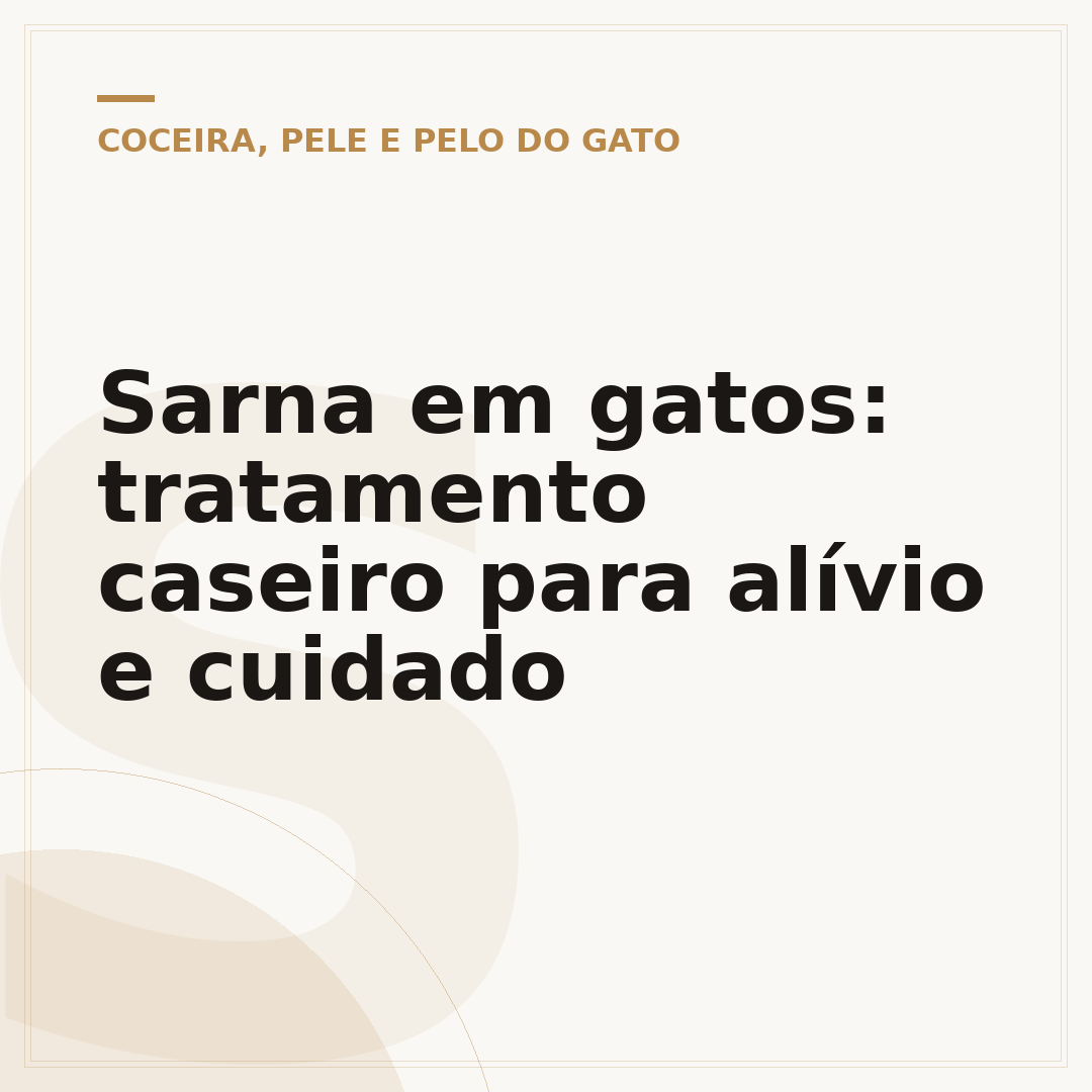 Sarna em gatos: tratamento caseiro para alívio e cuidado