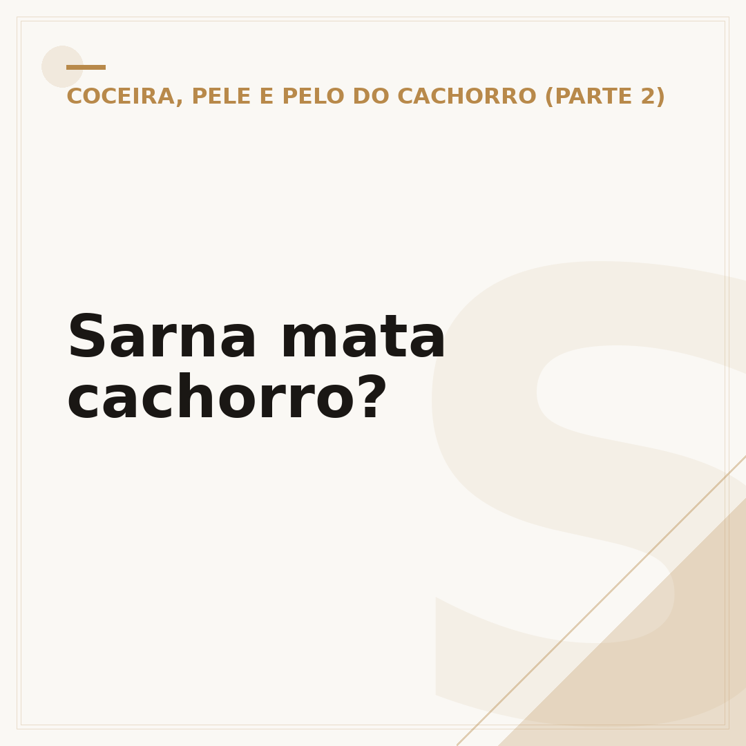 Sarna mata cachorro?