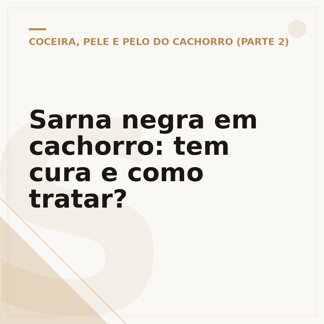 Sarna negra em cachorro: tem cura e como tratar?