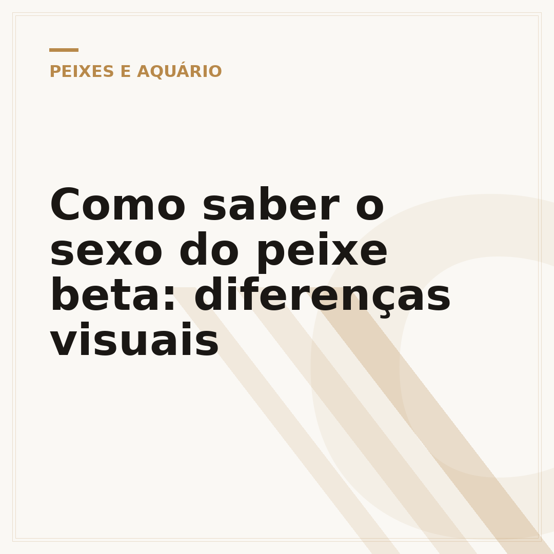 Como saber o sexo do peixe beta: diferenças visuais