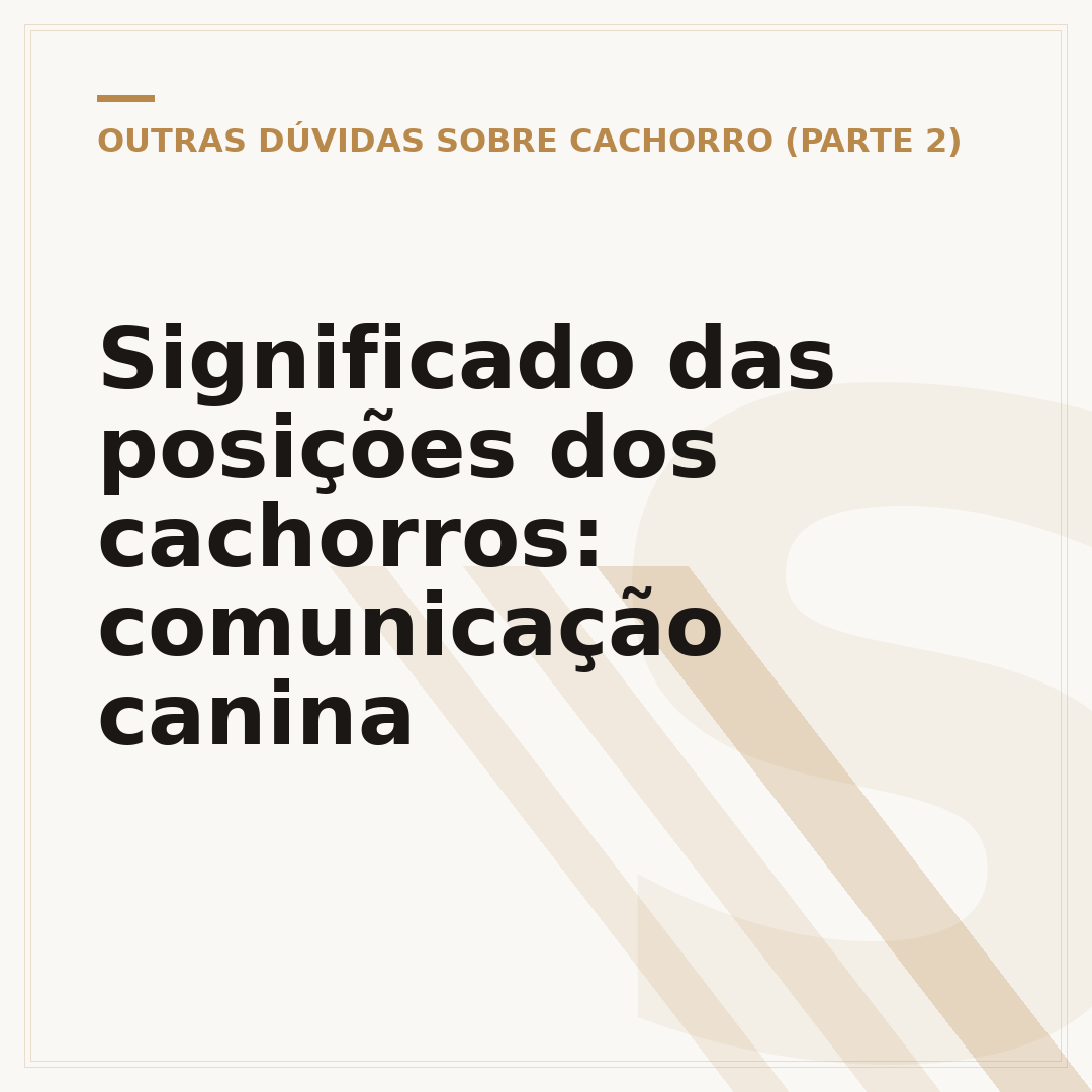 Significado das posições dos cachorros: comunicação canina