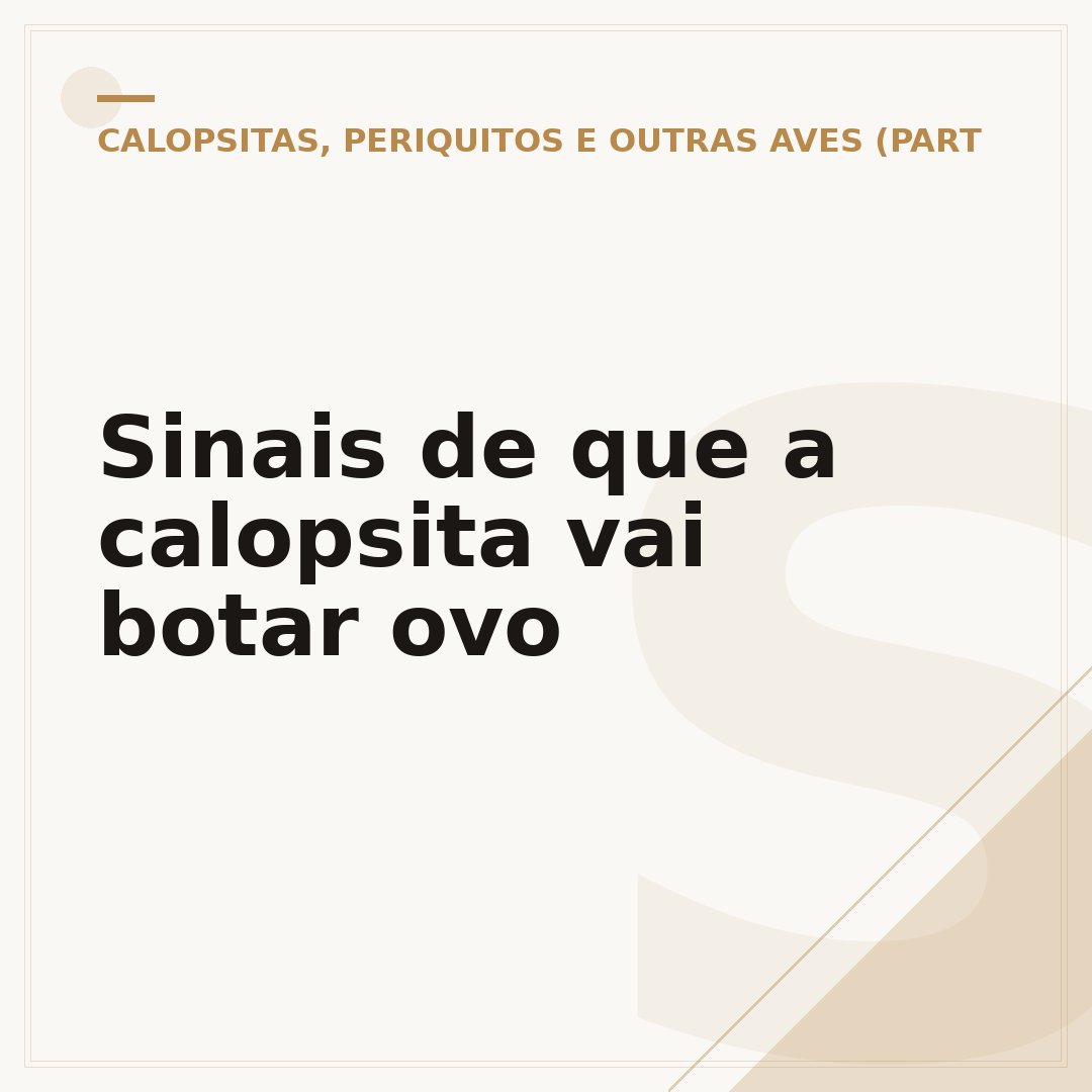 Sinais de que a calopsita vai botar ovo
