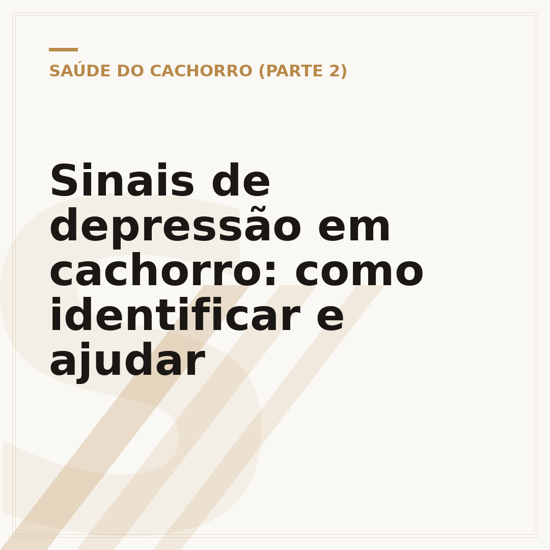 Sinais de depressão em cachorro: como identificar e ajudar