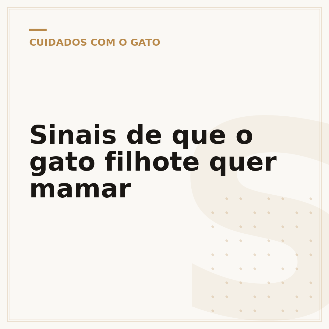 Sinais de que o gato filhote quer mamar