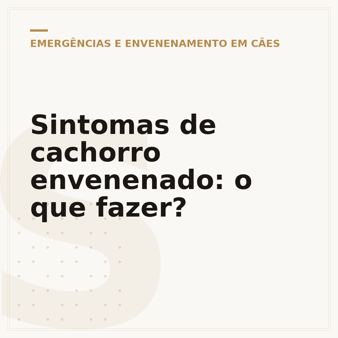 Sintomas de cachorro envenenado: o que fazer?