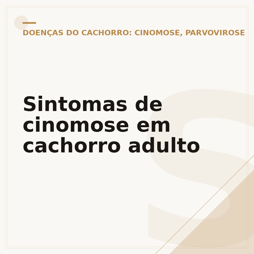 Sintomas de cinomose em cachorro adulto