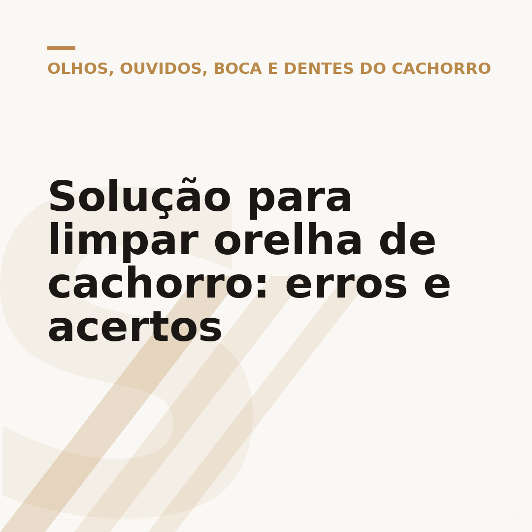Solução para limpar orelha de cachorro: erros e acertos