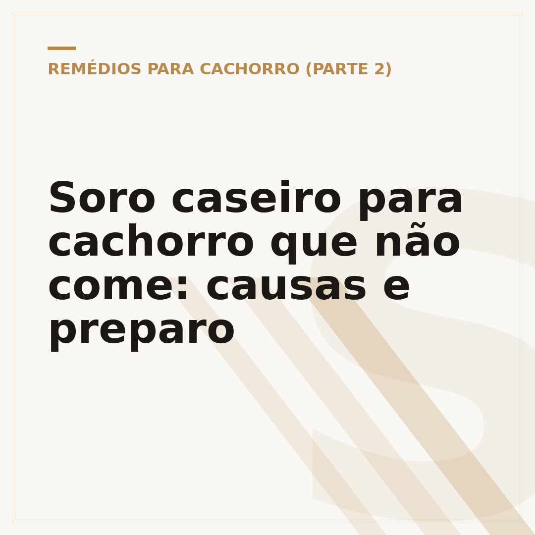 Soro caseiro para cachorro que não come: causas e preparo