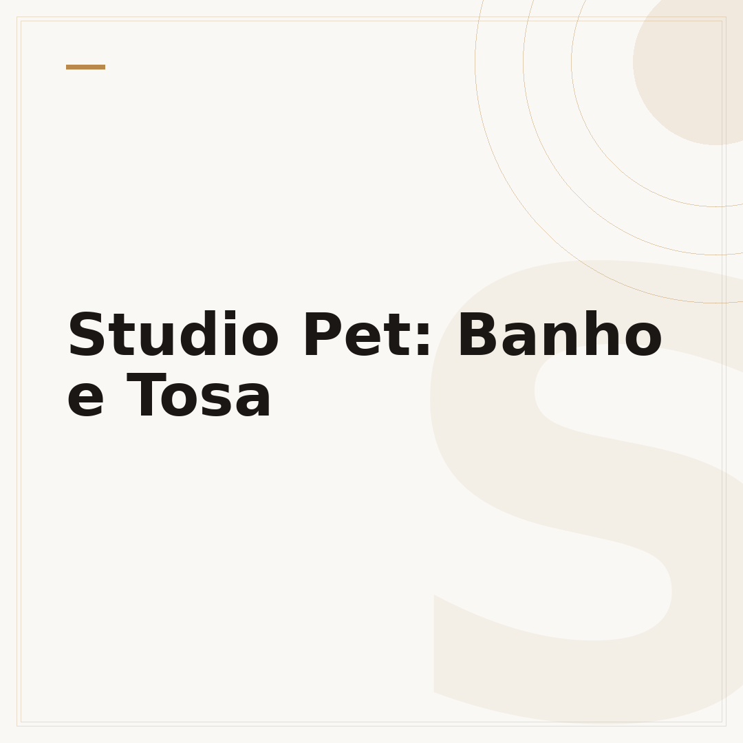 Studio Pet: Banho e Tosa