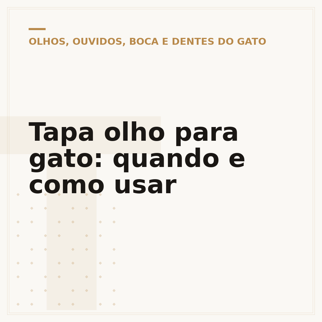 Tapa olho para gato: quando e como usar