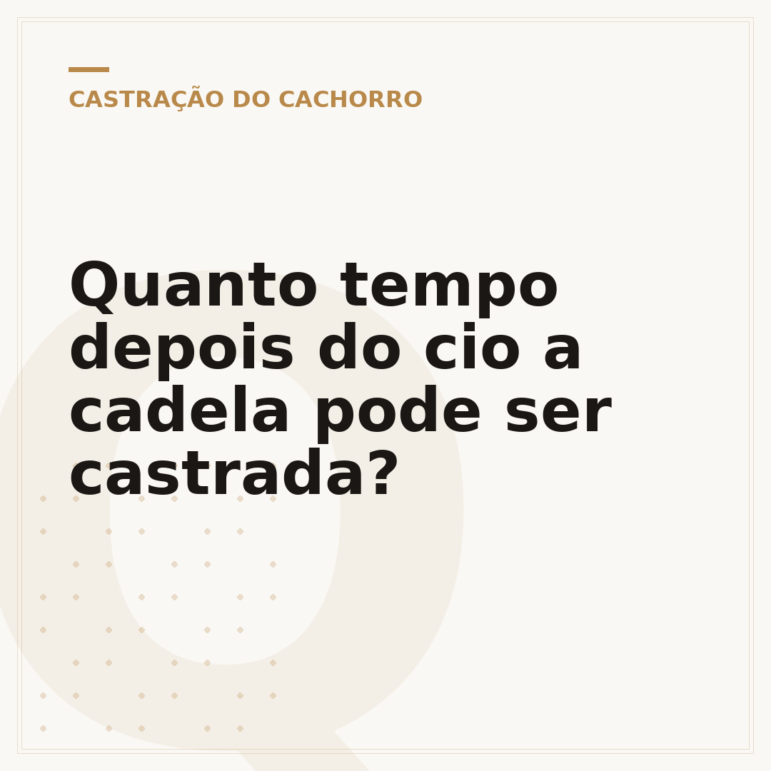 Quanto tempo depois do cio a cadela pode ser castrada?
