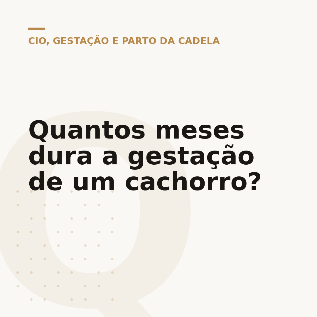 Quantos meses dura a gestação de um cachorro?