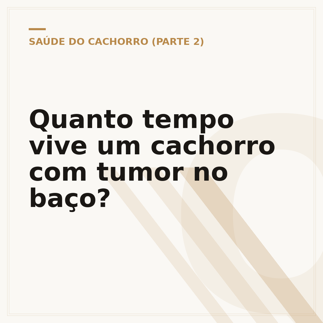 Quanto tempo vive um cachorro com tumor no baço?