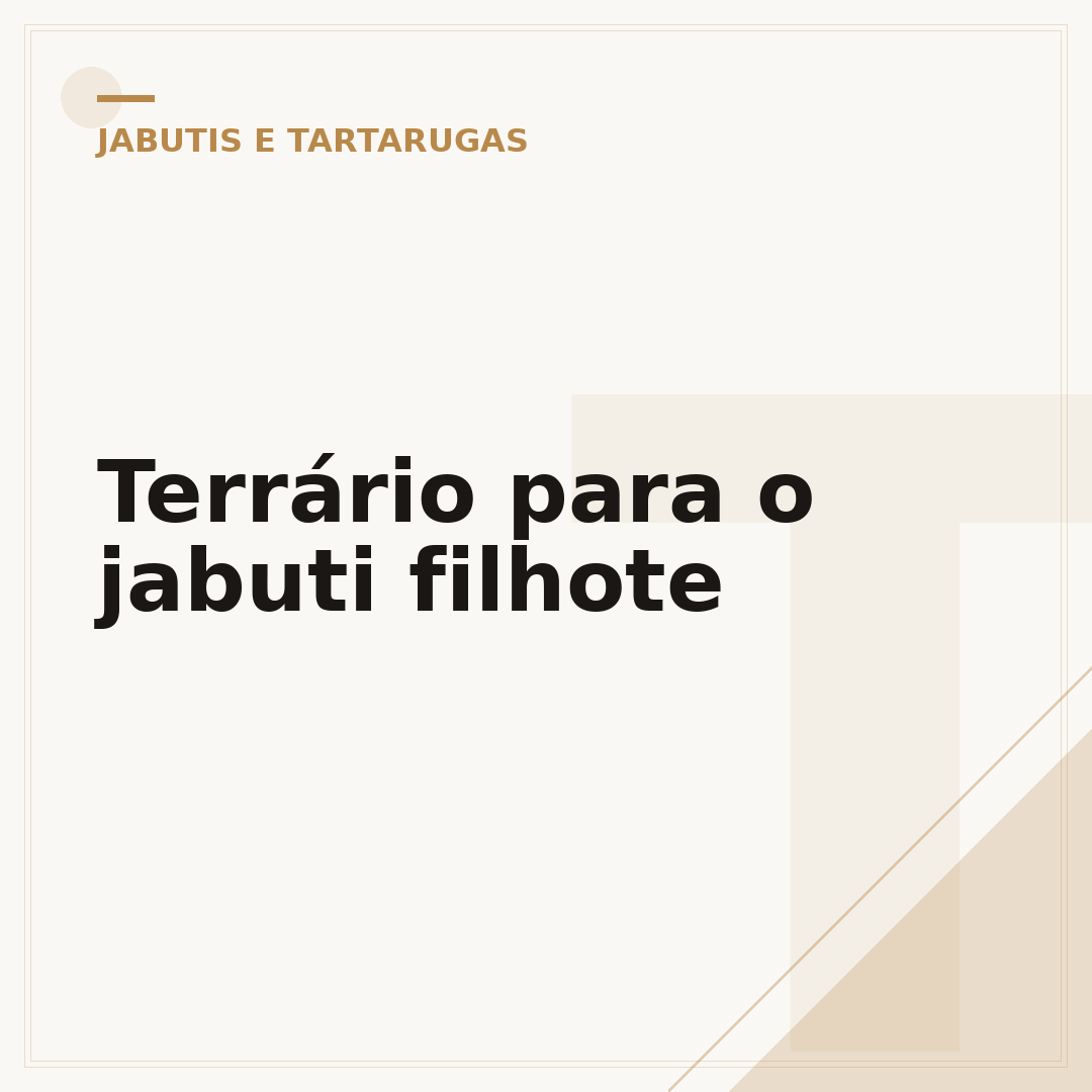 Terrário para o jabuti filhote