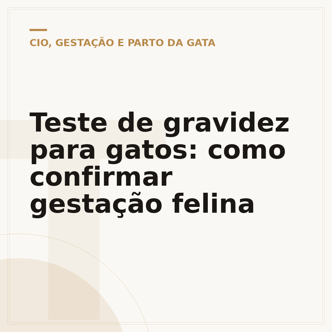 Teste de gravidez para gatos: como confirmar gestação felina