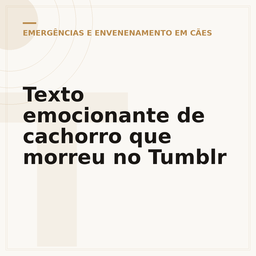 Texto emocionante de cachorro que morreu no Tumblr