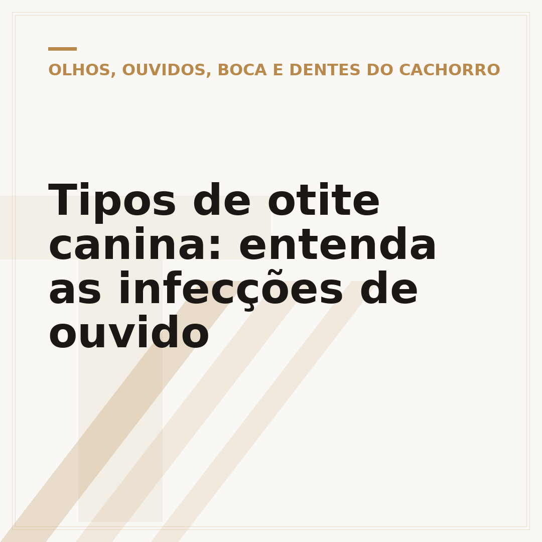Tipos de otite canina: entenda as infecções de ouvido