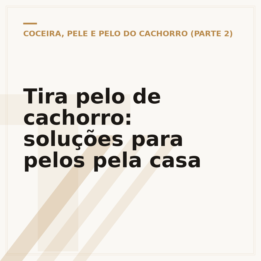 Tira pelo de cachorro: soluções para pelos pela casa