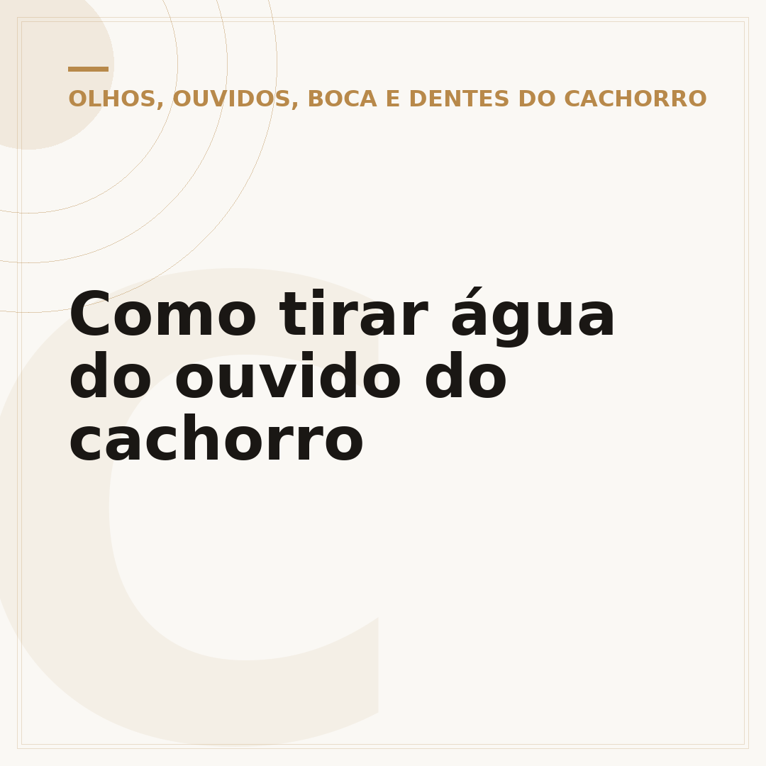 Como tirar água do ouvido do cachorro