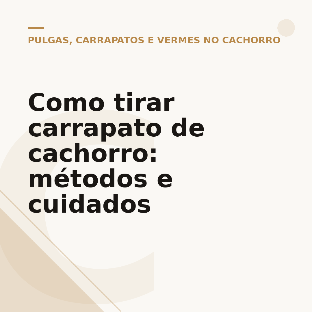 Como tirar carrapato de cachorro: métodos e cuidados