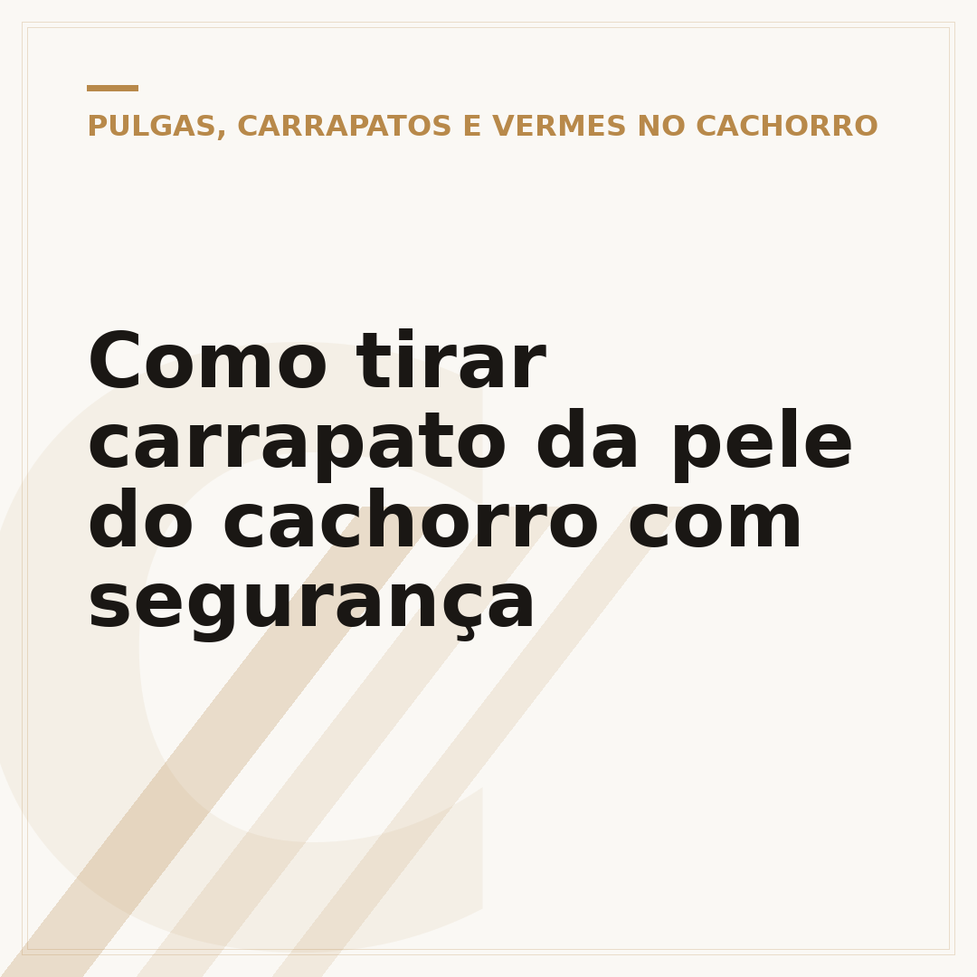 Como tirar carrapato da pele do cachorro com segurança