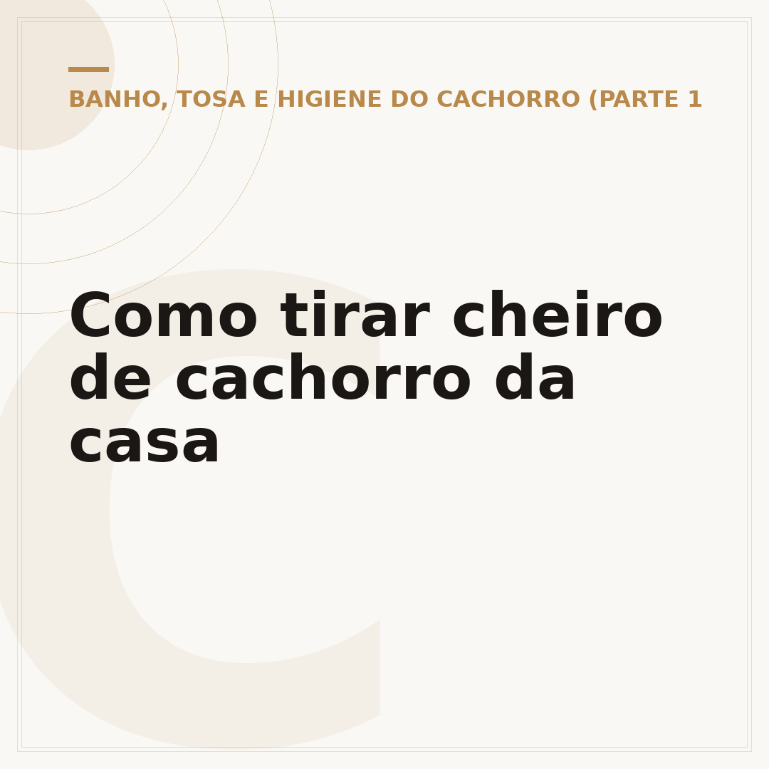 Como tirar cheiro de cachorro da casa