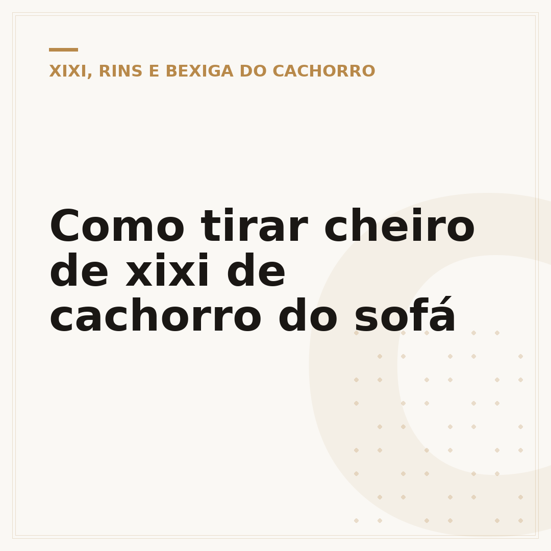 Como tirar cheiro de xixi de cachorro do sofá