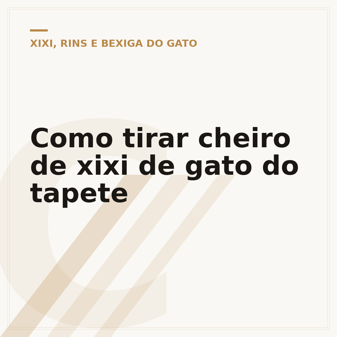 Como tirar cheiro de xixi de gato do tapete